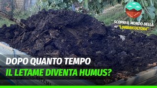 Lombricoltura  Dopo quanto tempo il letame diventa humus [upl. by Nert202]