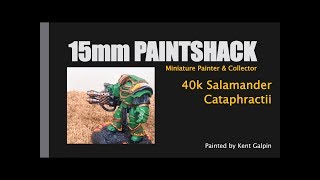 40k Salamander cataphractii terminators painted [upl. by Nhabois]