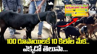 వంద రూపాయలకే 10 కిలోల మేక  10 KG Goat for 0ne Hundred Rupees  iDream [upl. by Dahs]