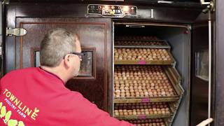 Tour of a Chicken Hatchery [upl. by Pappano]