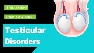 Testicular Torsion Surgery Review [upl. by Haslett175]