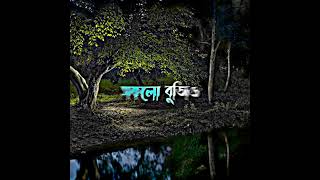 abhinoy ei jibon mayare bhora lyrics statusvira assamese whatsapp status [upl. by Mccarty]