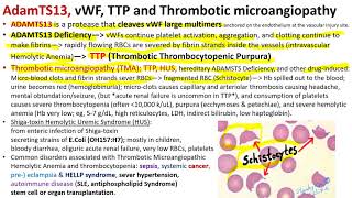 Hematology in 10 Min Hereditary Bleeding Disorder von Willebrand Disease [upl. by Marler384]