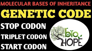 GENETIC CODE FOR CLASS 12TH BIOLOGY AND NEET EXAM STUDENTS BY SHAREEF SIR [upl. by Esra]