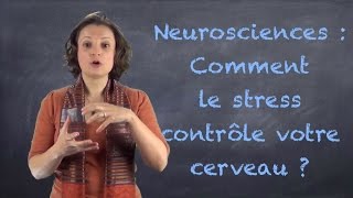 Comment votre cerveau quotbasculequot sous leffet du stress  VIDEOBLOG17 [upl. by Eceryt]