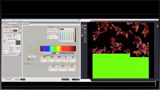 Basics of confocal laser scanning microscopy [upl. by Aroz226]