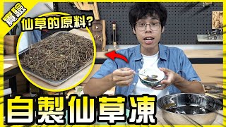 挑戰自製仙草凍！古人怎麼會覺得這東西能吃啊！【胡思亂搞】ft EmmaSleepTaiwan [upl. by Jackquelin714]