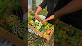 One more garden grocery before winter asmr [upl. by Lehacim]