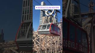 Agora em Nova York travel shortvideo videoshort viajandopelomundo [upl. by Idnir]