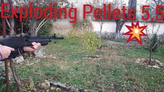 Shooting Exploding💥 Pellets 22cal Hatsan Vectis [upl. by Acinoryt]