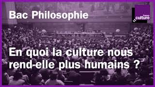 BAC PHILO révisions  En quoi la culture nous rendelle plus humains [upl. by Adeehsar]