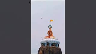 Jagannath Temple Flag in Opposite Wind Direction quotJaiJagannathquot 🙏 PuriJagannathTemple puri [upl. by Lamp]