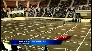 Pa Farm Show hosts cow pie bingo [upl. by Elyag]