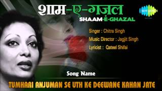 Tumhari Anjuman Se Uth Ke Deewane Kahan Jate  ShaamEGhazal  Chitra Singh [upl. by Maisel]