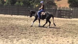 4 yr old Hickorys Indian pep mare [upl. by Itoyj]