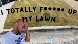 I made a mistake on my bermuda lawn  front lawn update after killing annual ryegrass [upl. by Maidel]