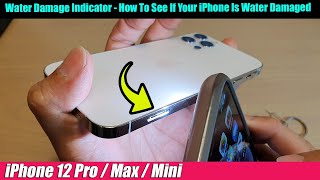 iPhone 1212 Pro Water Damage Indicator  How To See If Your iPhone Is Water Damaged [upl. by Dodds589]