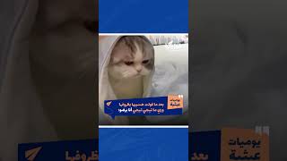 منشن صاحبك اللي سايبها بظروفها 😂 يومياتعبثية  فوريرة [upl. by Aldo]