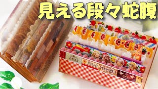 見える段々蛇腹ファイル🥰簡単表紙と段々萌えじゃばら【紙もの 作業動画 100均DIY】 [upl. by Winola533]