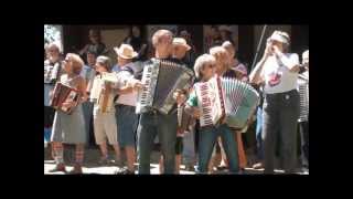 Cotati Accordion Festival [upl. by Klemperer535]