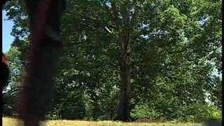 Bartlett Tree Experts Services Video [upl. by Euqinad]