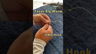 Best Texas Rig Worm [upl. by Eixirt978]