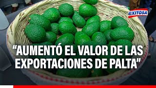 🔴🔵Fernando Cillóniz sobre la palta quotEn 2023 incrementó el volumen y el valor de las exportacionesquot [upl. by Lorou]