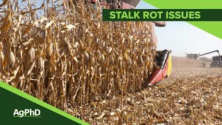 Stalk Rot Issues 1078 Air Date 12218 [upl. by Cynde]