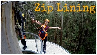 Otway Fly Treetop Adventures Zip Lining HD [upl. by Cerf680]