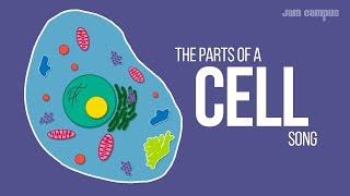 THE PARTS OF A CELL SONG  Science Music Video [upl. by Allicerp]