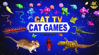 CAT GAMES  ULTIMATE CAT TV COMPILATION FOR FELINE FRIENDS  GAMES FOR CATS 😺 4K 8HOURS [upl. by Boudreaux146]