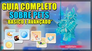 COMO ESCOLHER O MELHOR PET Guia Completo  Ragnarok Origin LNA [upl. by Erastatus]