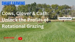 Overgrazed Rotational Grazing Can Save Your Farm ‍ Before amp After [upl. by Zanlog]