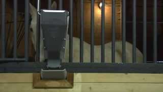 Barn Pros  iFeed Automatic Horse Feeder [upl. by Haerb]