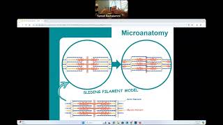 CG  BIO160  Introduction to Skeletal Muscles [upl. by Evangelist]