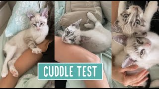 Puff amp Puffer  The Cuddle Test [upl. by Yurik714]