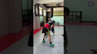 Horse stance training techniques ufc kazakhstan shavkatrakhmonov mma [upl. by Giesser]