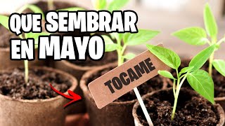 Que sembrar en MAYO 🌱 Calendario de Siembra 2024  La Huerta de Ivan [upl. by Enaoj]