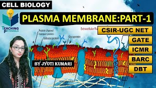 PLASMA MEMBRANE PART1  CELL BIOLOGY  CSIR NET GATE DBT [upl. by Anierdna]