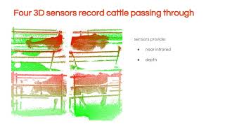 Automatic Dairy Cattle Lameness Detection System [upl. by Graeme]