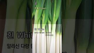 대파의 어느쪽이 영양가 높을까  Which parts of green onions are the most nutritious [upl. by Jamieson]