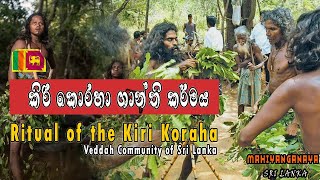 Ritual of the Kiri Koraha ආදිවාසී කිරි කොරහා නැටුම traveling kirikoraha dance [upl. by Notlimah]