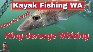 Kayak fishing King George Whiting  Best location Perth Western Australia [upl. by Lillywhite]