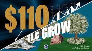 TLC Coin Return 7730 In One Month  Reality of Tlc Coin  India NO1 Crypto Currency Project [upl. by Nonrev508]