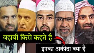 Wahabi Kise kehte hai Or inka Aqeeda kya hai  वहाबी किसे कहते है इनका अकीदा क्या है  Wahabi [upl. by Bathelda358]