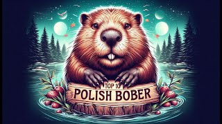 TOP 10 POLISH BOBER [upl. by Oyr]