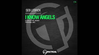 Seb LeBrox  I Know Angels Stereotype Remix [upl. by Col]