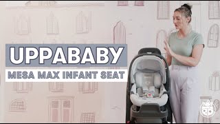 UPPAbaby MESA Max Infant Car Seat  Car Seat Review  Infant Car Seat Install [upl. by Lourdes]