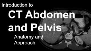 Introduction to CT Abdomen and Pelvis Anatomy and Approach [upl. by Worsham947]