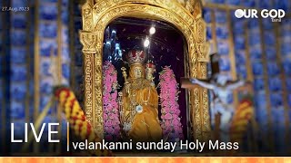 velankanni live mass today  velankanni live [upl. by Hess]